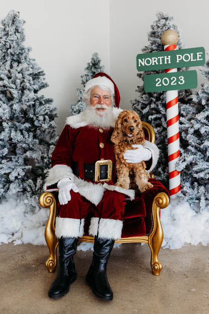 Geelong Pet Santa Photo