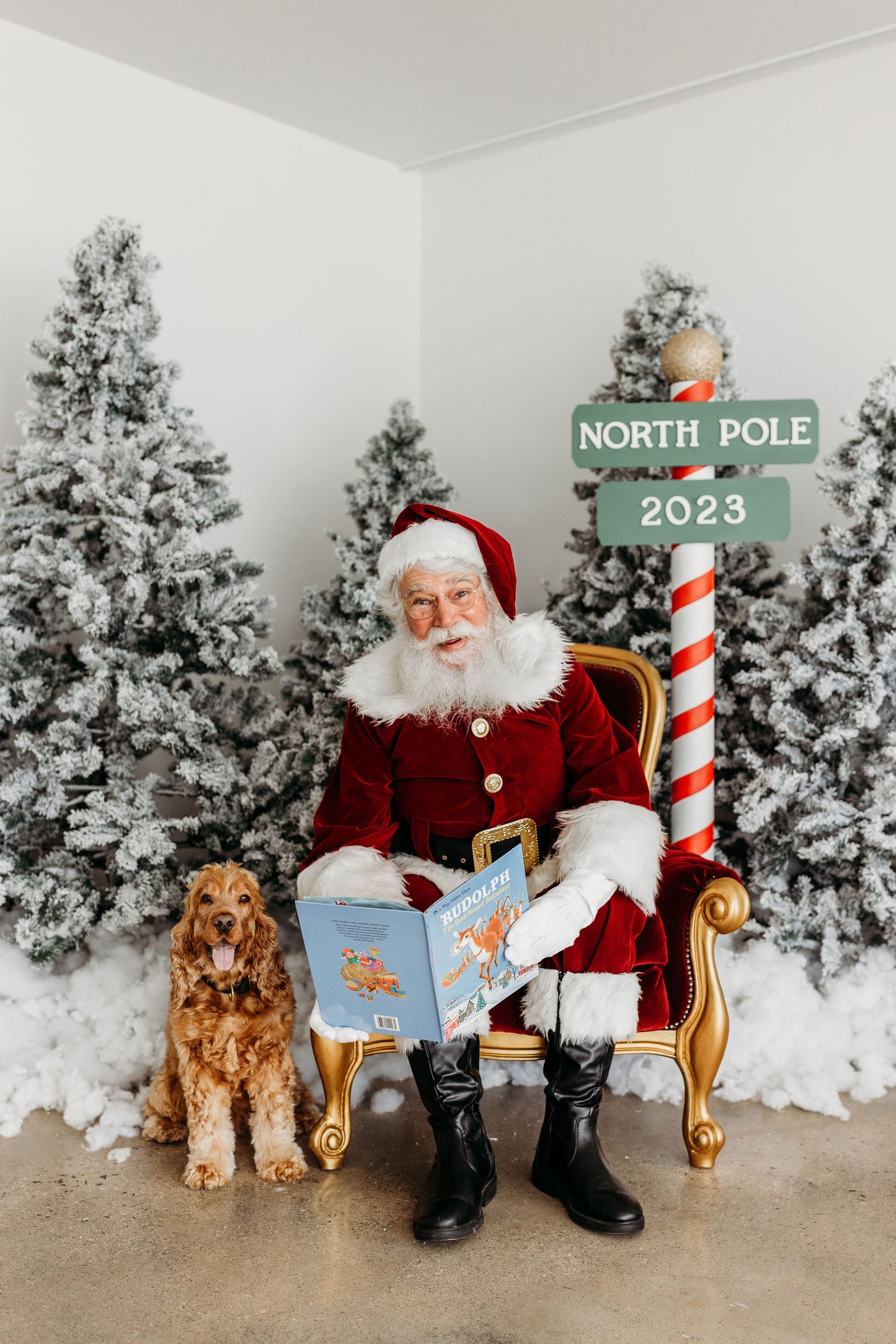 Melbourne Pet Santa Photo