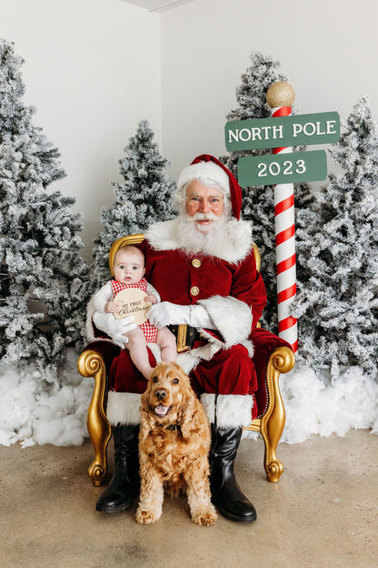 Melbourne Pet Santa Photo